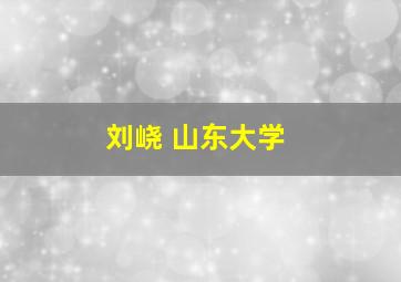 刘峣 山东大学